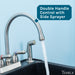 Tehila Stainless Steel Finish Gooseneck Faucet with Side Sprayer - Sweatfully