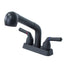Tehila Black Finish Pull-Out Faucet - Sweatfully