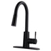 Tehila Black Finish High-Arc Pull-Down Faucet - Sweatfully
