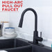 Tehila Black Finish High-Arc Pull-Down Faucet - Sweatfully