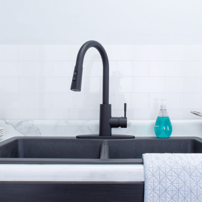 Tehila Black Finish High-Arc Pull-Down Faucet - Sweatfully