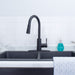 Tehila Black Finish High-Arc Pull-Down Faucet - Sweatfully
