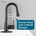 Tehila Black Finish Low Profile Pull-Down Faucet - Sweatfully