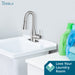 Tehila Stainless Steel Finish Low Profile Pull-Down Faucet - Sweatfully