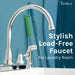 Tehila Chrome Finish Wide-set Gooseneck Faucet with Side Sprayer - Sweatfully