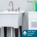 Tehila Stainless Steel Finish Wide-set Gooseneck Faucet with Side Sprayer - Sweatfully