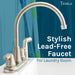Tehila Stainless Steel Finish Wide-set Gooseneck Faucet with Side Sprayer - Sweatfully