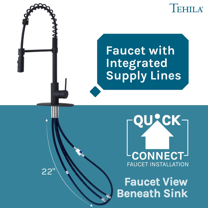 Tehila Black Finish High Arc Coil Pull-Down Faucet - Sweatfully