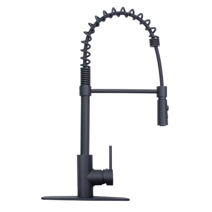 Tehila Black Finish High Arc Coil Pull-Down Faucet - Sweatfully