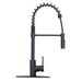 Tehila Black Finish High Arc Coil Pull-Down Faucet - Sweatfully