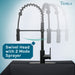 Tehila Black Finish High Arc Coil Pull-Down Faucet - Sweatfully