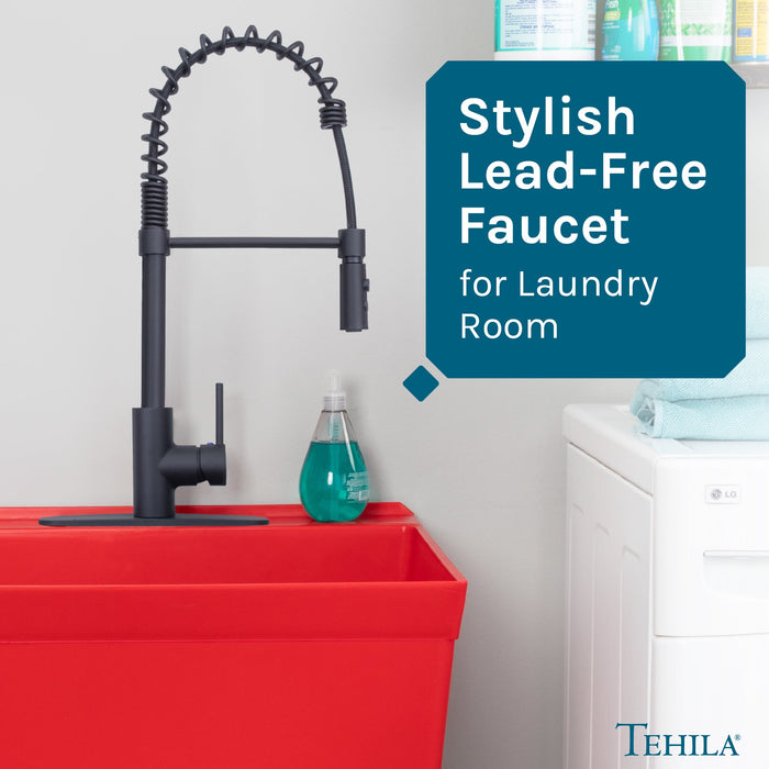 Tehila Black Finish High Arc Coil Pull-Down Faucet - Sweatfully