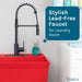 Tehila Black Finish High Arc Coil Pull-Down Faucet - Sweatfully