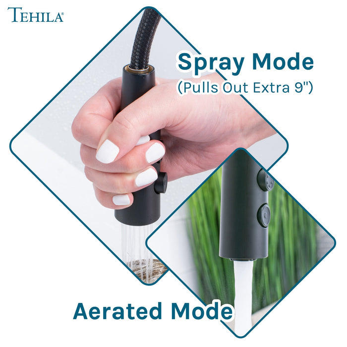 Tehila Black Finish High Arc Coil Pull-Down Faucet - Sweatfully