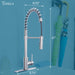 Tehila Stainless Steel Finish High Arc Coil Pull-Down Faucet - Sweatfully