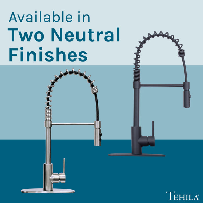 Tehila Stainless Steel Finish High Arc Coil Pull-Down Faucet - Sweatfully