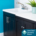 Tehila Black Vanity Cabinet and White Utility Sink with Stainless Steel Finish Pull-Out Faucet - Sweatfully