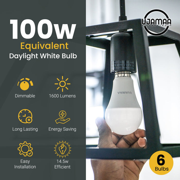 Ujamaa 100w Watt Equivalent LED Dimmable Light Bulbs (Daylight White) - 6-Pack - Sweatfully