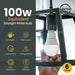 Ujamaa 100w Watt Equivalent LED Dimmable Light Bulbs (Daylight White) - 6-Pack - Sweatfully