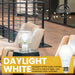 Ujamaa 100w Watt Equivalent LED Dimmable Light Bulbs (Daylight White) - 6-Pack - Sweatfully