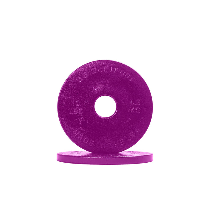 Cast Iron Machined Weight Plate Pairs - Sweatfully