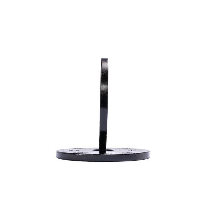 Cast Iron Machined Weight Plate Pairs - Sweatfully