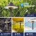 Gardenreet Solid Brass Low Voltage Landscape Pathway Light, LED Outdoor Accent Path and Area Light(Hat 2401) - Sweatfully