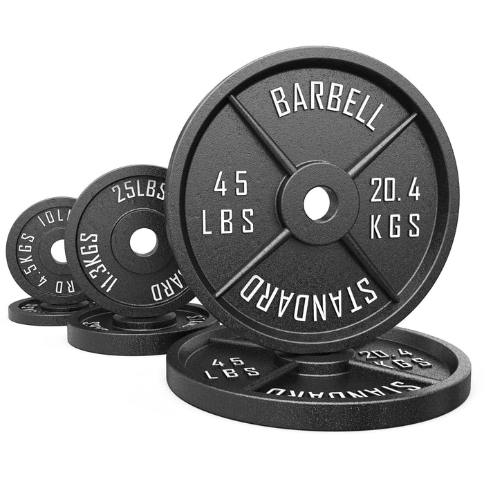 Synergee Standard Metal Weight Plates - Sweatfully