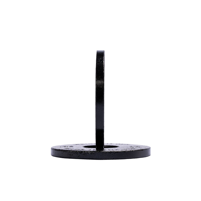 Cast Iron Machined Weight Plate Pairs - Sweatfully