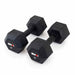 Rubber Hex Dumbbells (Pair) - Sweatfully