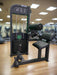 SFE Commercial Back & Abdominal Combo Machine (New) - Sweatfully