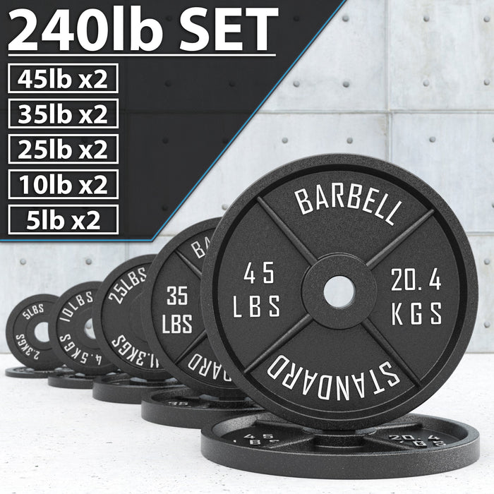 Synergee Standard Metal Weight Plates - Sweatfully
