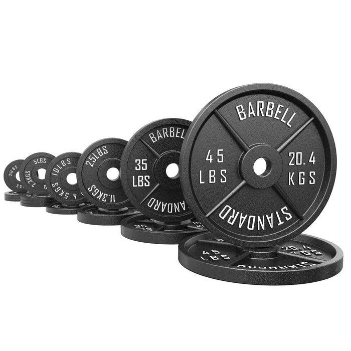 Synergee Standard Metal Weight Plates - Sweatfully