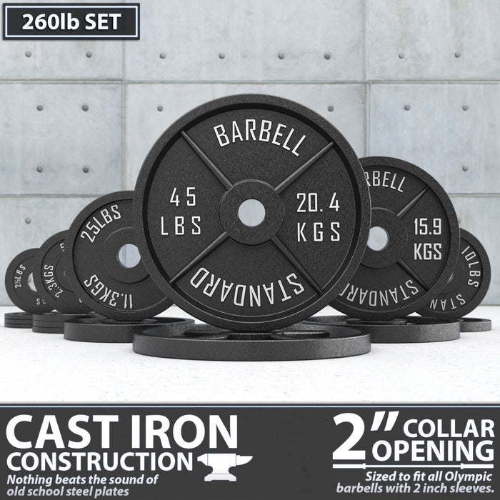 Synergee Standard Metal Weight Plates - Sweatfully
