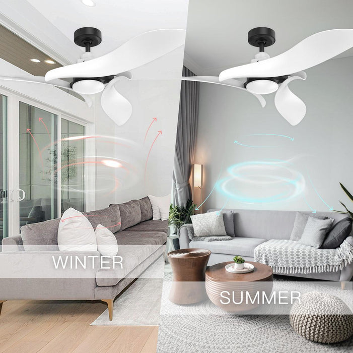 Black 54" DC Motor 6 Speed Ceiling Fan with LED Lighting - Sweatfully