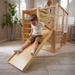 Alpine Adventure Indoor Play Gym – Climber, Slide & Kids Activity Set - Sweatfully