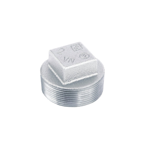 2 in. Galvanized Iron Plug - Sweatfully