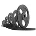 XMARK Iron Horse Premium Cast Iron Olympic Weight Plate Pairs and Sets No Set - Sweatfully