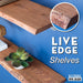 36” Sunset Cedar Live Edge Wood Shelf with L-Shaped Pipe Brackets (2-Pack) - Sweatfully