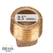 1/2 in. Red Brass Plug - Sweatfully