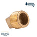 1/2 in. Red Brass Plug - Sweatfully