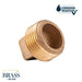 3/4 in. Red Brass Plug - Sweatfully