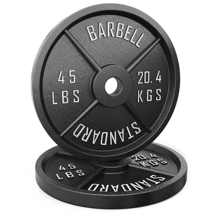 Synergee Standard Metal Weight Plates - Sweatfully