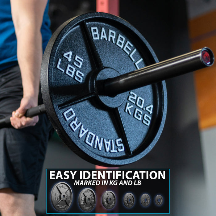 Synergee Standard Metal Weight Plates - Sweatfully