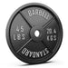 Synergee Standard Metal Weight Plates - Sweatfully