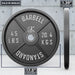 Synergee Standard Metal Weight Plates - Sweatfully