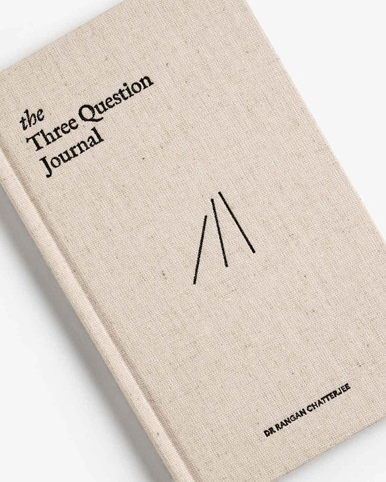 The Three Question Journal - Linen - Sweatfully