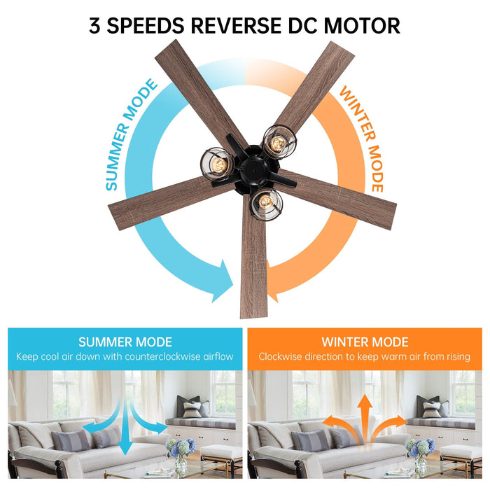 52" Kashmir Traditional Downrod Mount Reversible Ceiling Fan with Lighting and Remote Control - Sweatfully