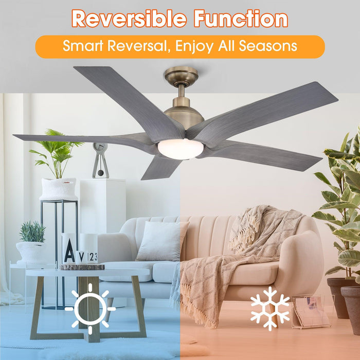 56" Genoa Farmhouse DC Motor Downrod Mount Reversible Ceiling Fan with Lighting and Remote Control - Sweatfully