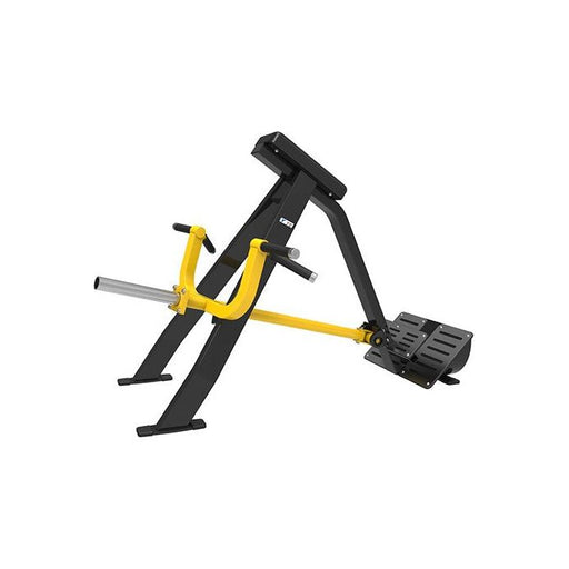 SFE Standing T-Bar Row (New) - Sweatfully